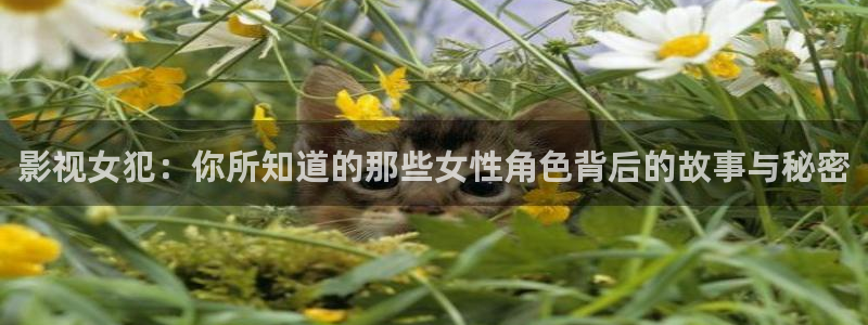 成人欧美影院：影视女犯：你所知道的那些女性角色背后的故事与秘密