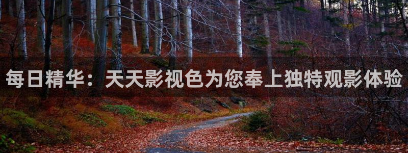欧美影院必看电影推荐：每日精华：天天影视色为您奉上独特观影体验