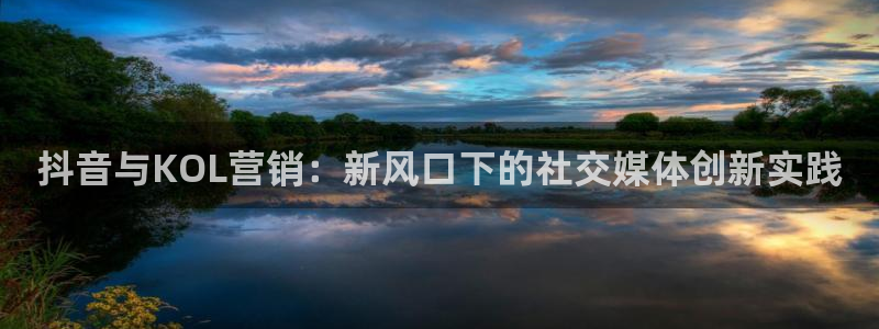 .欧美影院：抖音与KOL营销：新风口下的社交媒体创新实践