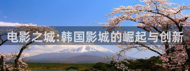老司机欧美影院：电影之城:韩国影城的崛起与创新