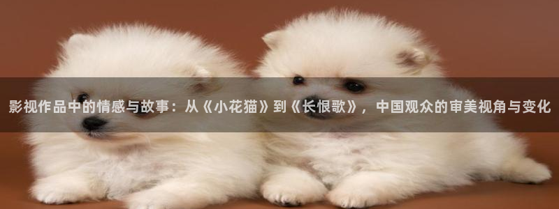 97欧美影院：影视作品中的情感与故事：从《小花猫》到《长恨歌》，中国观众的审美视角与变化