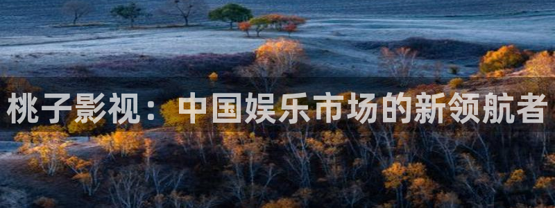 精品日韩欧美影院：桃子影视：中国娱乐市场的新领航者